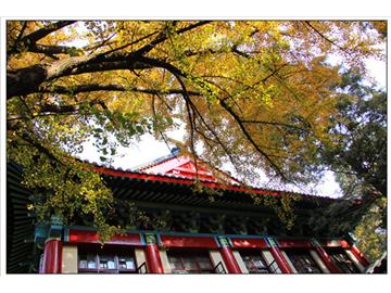 南師大英國(guó)留學(xué)，哪家機(jī)構(gòu)比較好