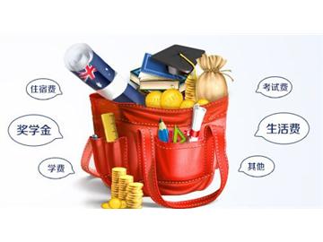 打算去英國(guó)讀高中，每年費(fèi)用大概多少