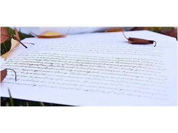 一份漂亮的文書，都是如何包裝起來的