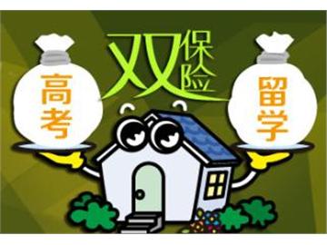 高考+留學(xué)，這樣做才是雙保險(xiǎn)！