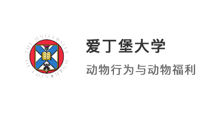 【碩士案例】雙非均分81冷門專業(yè)，考研后逆襲愛丁堡大學(xué)、KCL！